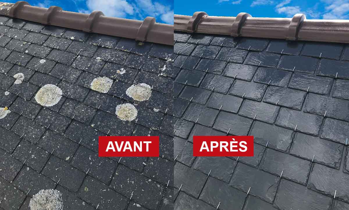 Nettoyage toiture - PROROAZHON COUVERTURE artisan couvreur sur Rennes (35) et les alentours en Ille-et-Vilaine (35). : Nettoyage toiture, démoussage anti mousse toit. Traitement peinture hydrofuge toiture. Artisan couvreur sur Rennes en Ille-et-Vilaine (35). 